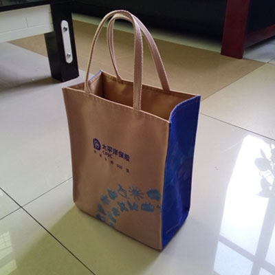 帆布（bù）袋